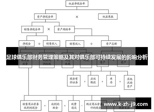 足球俱乐部财务管理策略及其对俱乐部可持续发展的影响分析